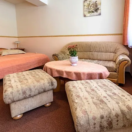 Hotel Familia Vendeghaz 3*